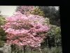060425DD-4222-4475-8B7E-33C5019E1099.jpeg