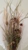 dried flowers.jpg