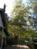 DSCN9454.JPG