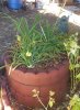 IMG_0534.jpeg