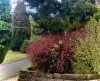 IMG_4217.jpeg