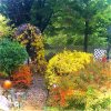 IMG_4201.jpeg