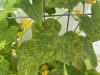 IMG_2092.jpeg