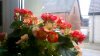 WP_20151018_13_47_23_Pro.jpg