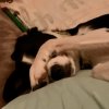 IMG_6527.jpeg