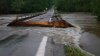 AP by Noblett Lake here in Willow.jpg