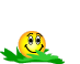 upload_2024-6-2_7-31-42.png