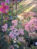 IMG_20240624_201219.jpg