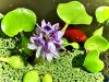 IMG_1098.jpeg
