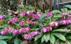 IMG_8152.jpeg