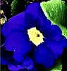 IMG_8681.jpeg
