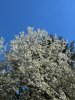 IMG_0127.jpeg