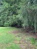 IMG_0192.jpeg
