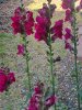 Resize_20250523_093839_9118.jpg