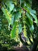 IMG_0349.jpeg