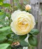 IMG_2606.jpeg