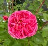 IMG_2615.jpeg