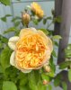 IMG_2614.jpeg