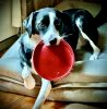 IMG_9905.jpeg