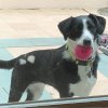IMG_5539.jpeg