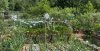 IMG_4842.jpeg
