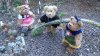 DSC01304.jpg