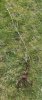 IMG_1059.jpeg