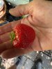 IMG_0652.jpeg
