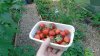 DSC01339.jpg