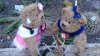 DSC01386.jpg