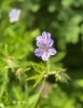 IMG_0616.jpeg