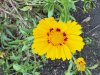 IMG_0650.jpeg