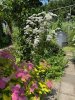IMG_0625.jpeg