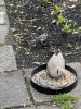 IMG_0590.jpeg