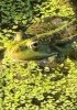 IMG_0640.jpeg