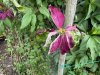 IMG_0654.jpeg