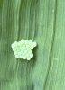 IMG_0633.jpeg