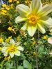 Resize_20250622_114411_1637.jpg