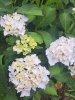 Resize_20250622_114416_6920.jpg