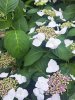Resize_20250622_114418_8387.jpg