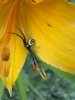 IMG_0369.jpeg