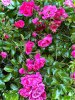 IMG_0378.jpeg