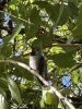 IMG_0435.jpeg