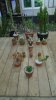 DSC01505.JPG