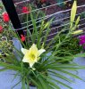 IMG_3135.jpeg