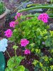 IMG_3150.jpeg