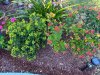 IMG_3163.jpeg