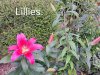 Resize_20250701_041459_9913.jpg