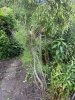 IMG_0794.jpeg