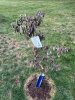 IMG_3292.jpeg